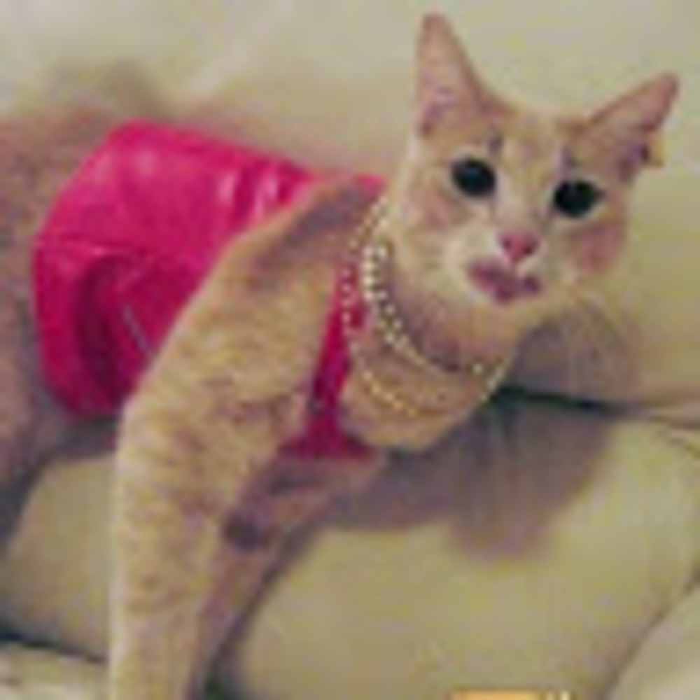 Meet your Posher, Teresa